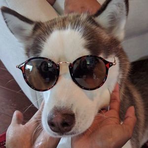 Meet your Posher, Aditya